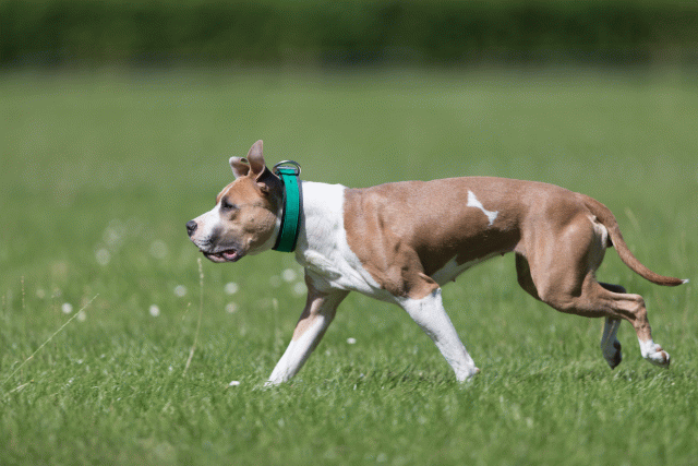 Cs3Q5685 20307522320 O