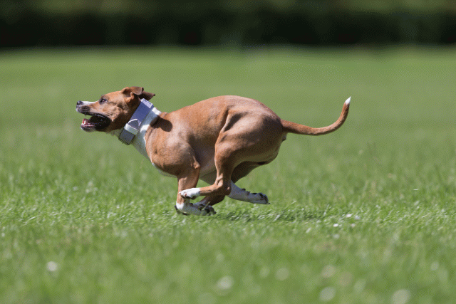 Cs3Q5731 20307523538 O