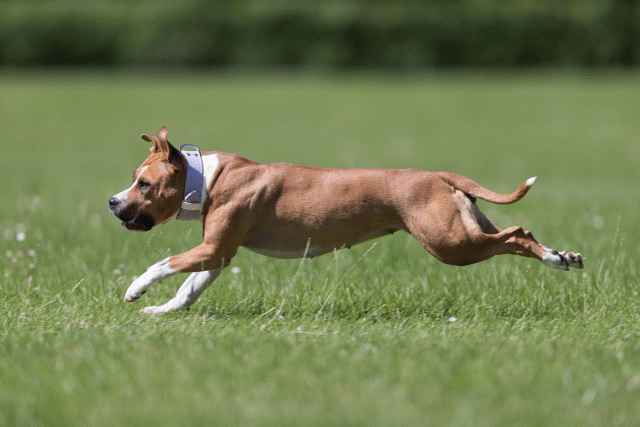 Cs3Q5726 20307528368 O