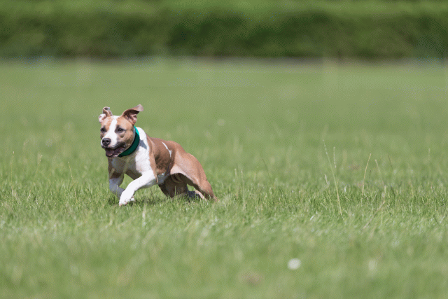 Cs3Q5677 20307532150 O