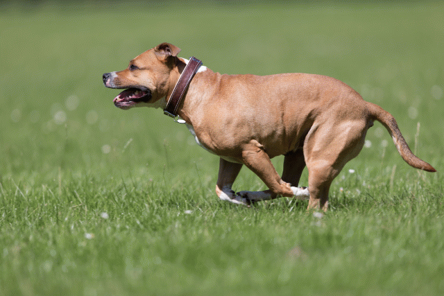 Cs3Q5669 20307535310 O