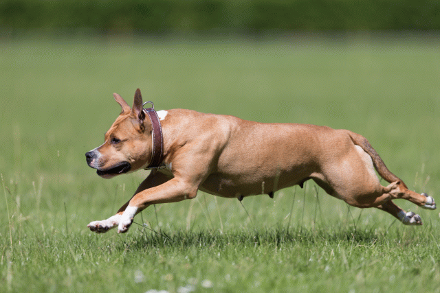 Cs3Q5664 20307538030 O