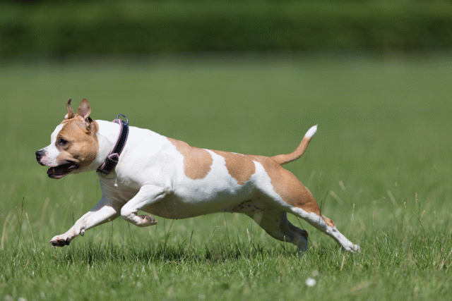 Cs3Q5643 20307551150 O