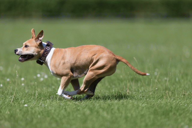 Cs3Q5701 20307552998 O