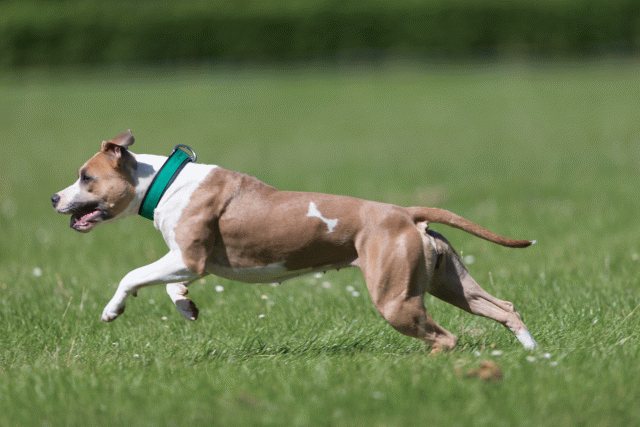 Cs3Q5687 20307563588 O