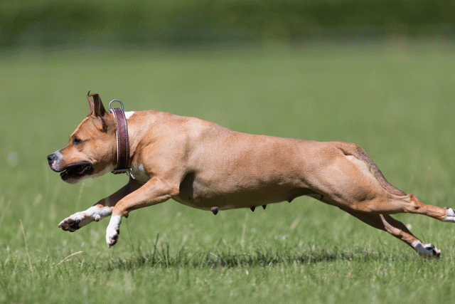 Cs3Q5667 20307579948 O