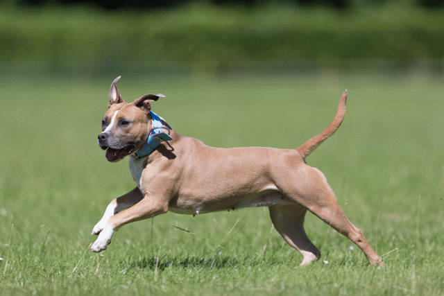 Cs3Q5610 20307582460 O