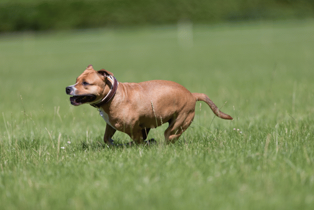 Cs3Q5659 20307586598 O