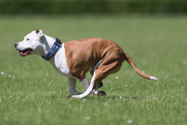 Cs3Q5634 20307600228 O