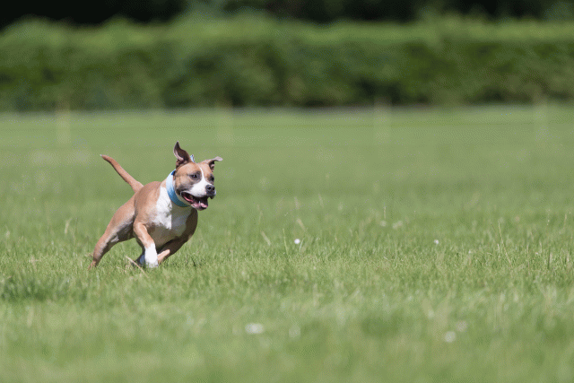 Cs3Q5585 20307602650 O