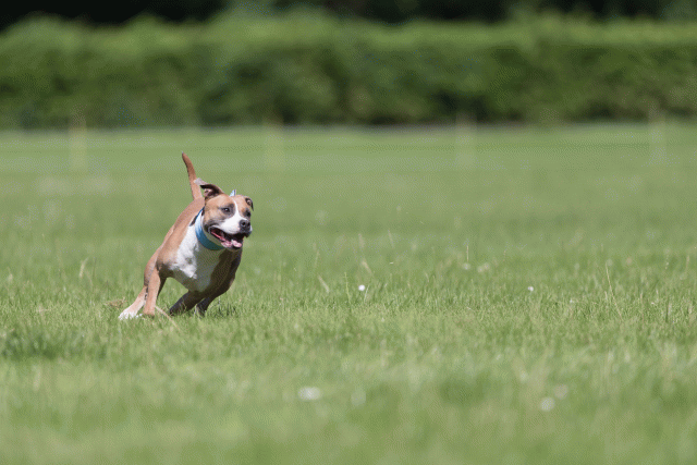 Cs3Q5584 20307603580 O