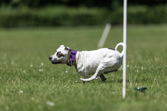 Cs3Q5574 20307608670 O