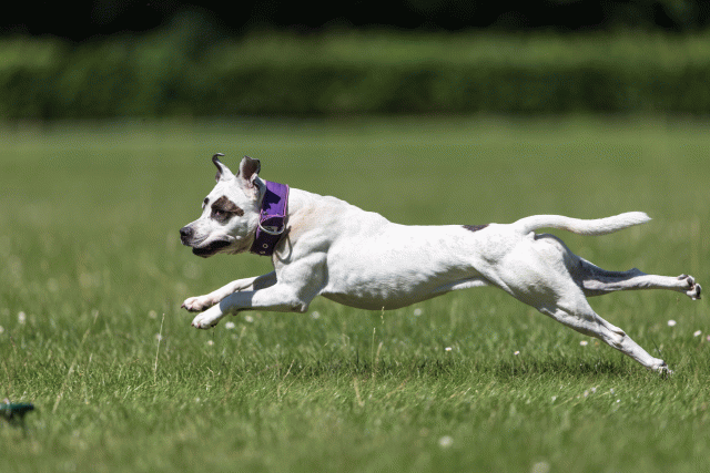 Cs3Q5572 20307612270 O