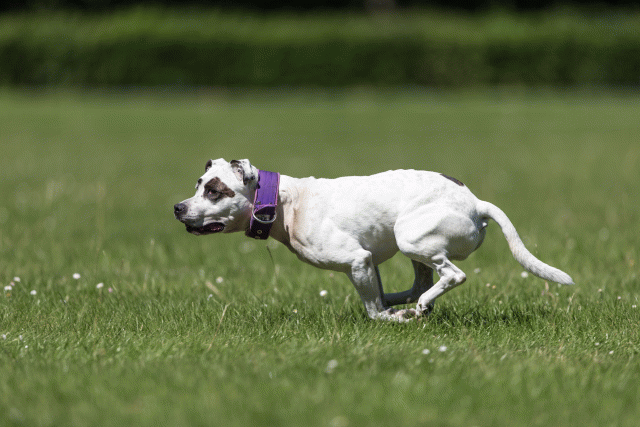 Cs3Q5570 20307615800 O