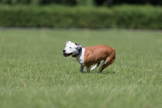 Cs3Q5617 20307617528 O