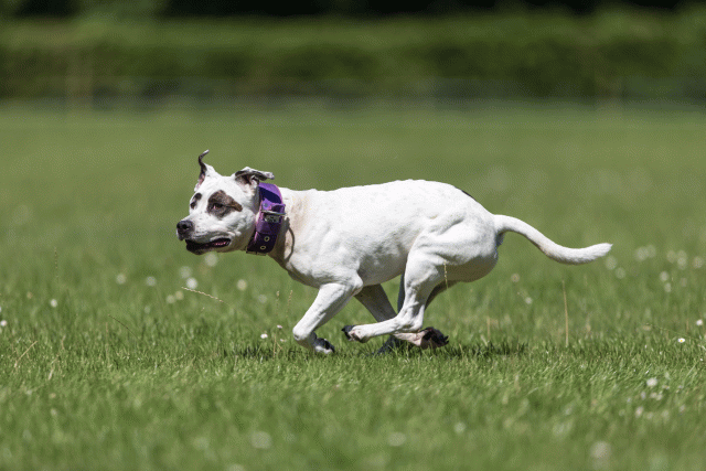 Cs3Q5563 20307626140 O