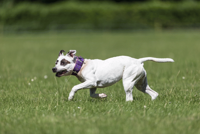 Cs3Q5560 20307629460 O