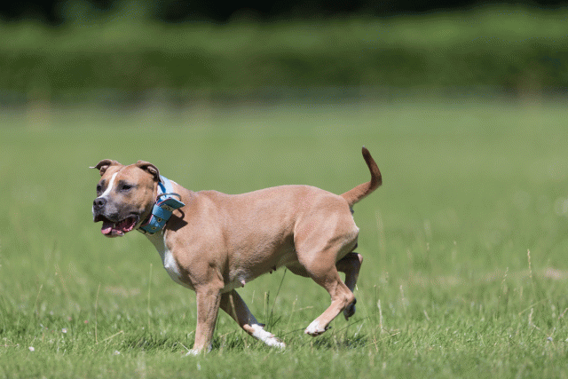 Cs3Q5608 20307629468 O