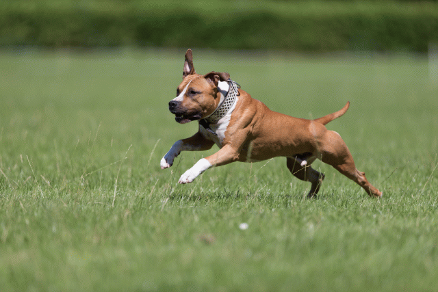 Cs3Q5510 20307681720 O