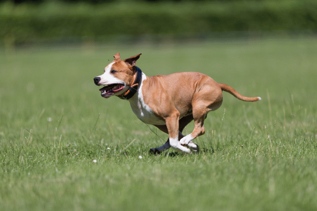 Cs3Q5463 20307721930 O