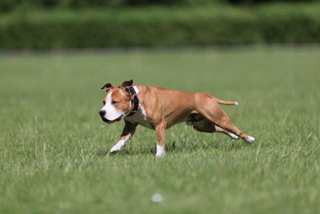 Cs3Q5458 20307730420 O