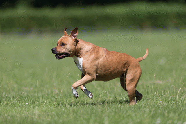 Cs3Q5493 20307741558 O