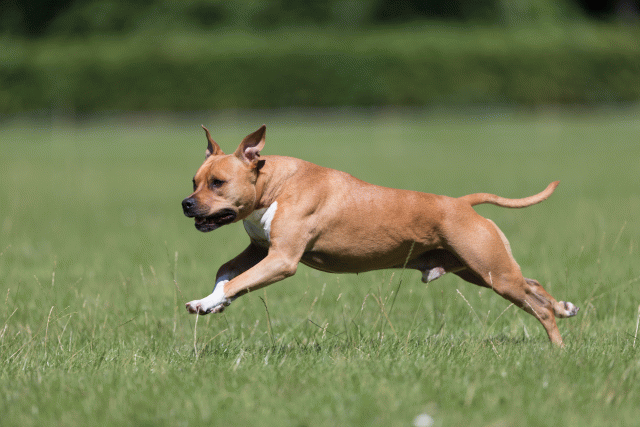 Cs3Q5490 20307744288 O