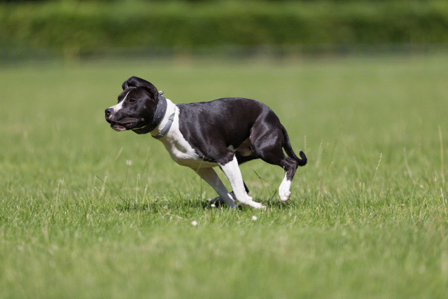 Cs3Q5431 20307748780 O