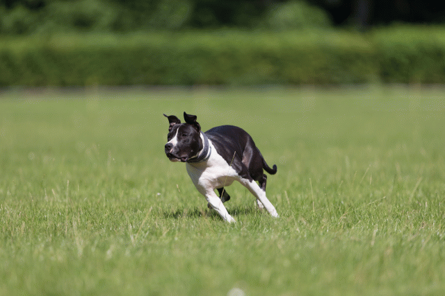 Cs3Q5424 20307757960 O