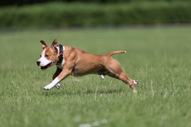 Cs3Q5461 20307767728 O