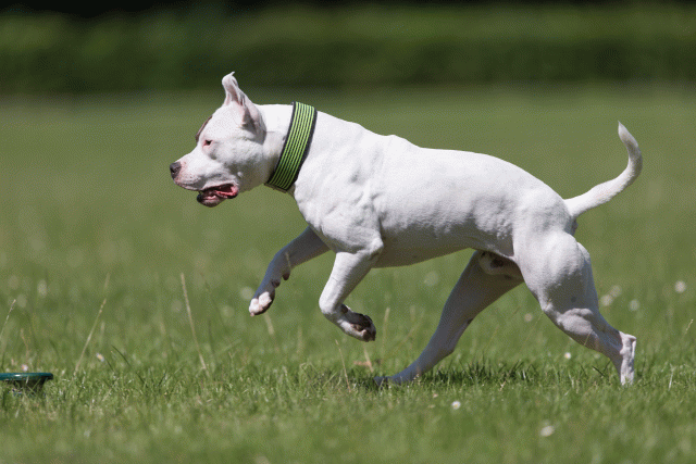 Cs3Q5406 20307770110 O