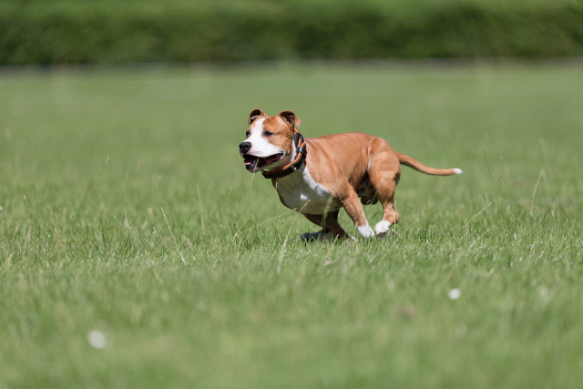 Cs3Q5456 20307776518 O