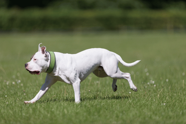 Cs3Q5400 20307779560 O