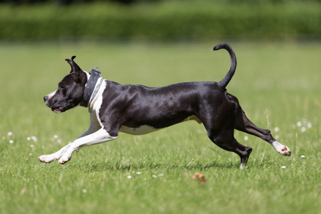 Cs3Q5440 20307780868 O