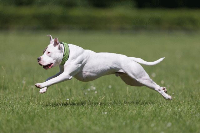 Cs3Q5399 20307780960 O