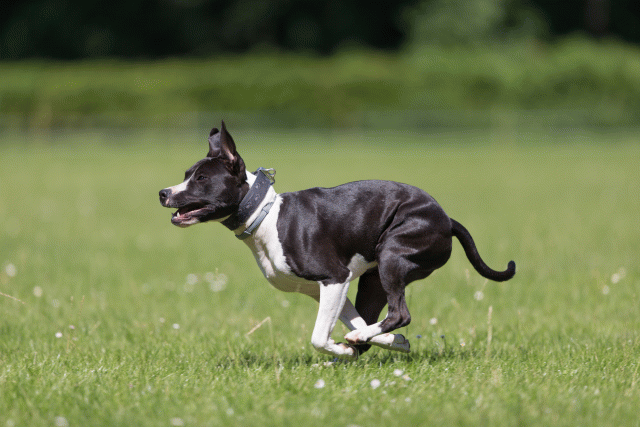 Cs3Q5435 20307786988 O