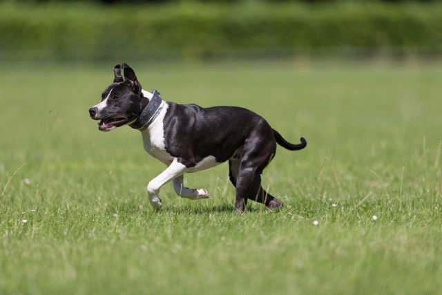 Cs3Q5432 20307790348 O