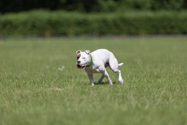 Cs3Q5389 20307791820 O