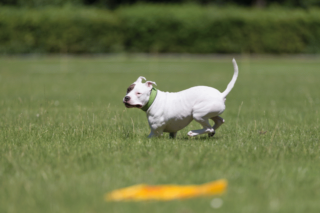 Cs3Q5387 20307793760 O