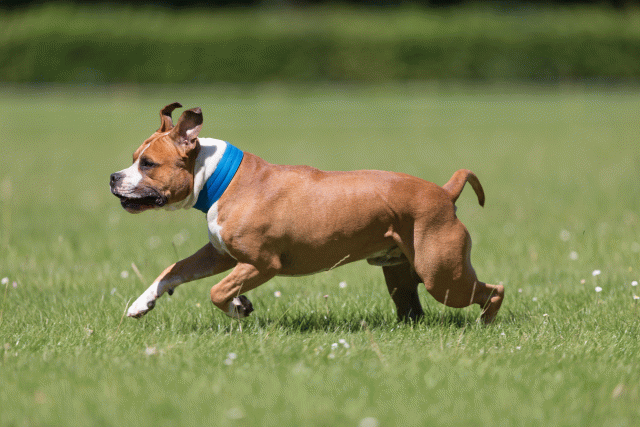 Cs3Q5376 20307795210 O