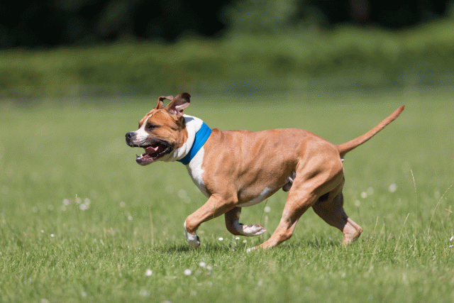 Cs3Q5368 20307807580 O