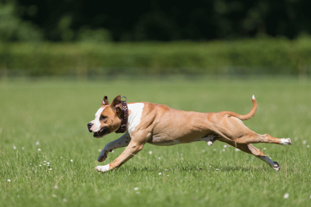 Cs3Q5340 20307834230 O