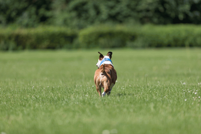 Cs3Q5306 20307862310 O