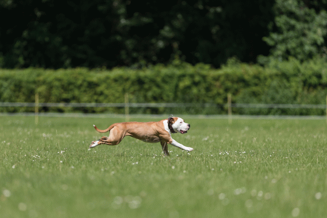 Cs3Q5353 20307863808 O