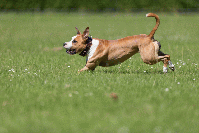 Cs3Q5344 20307873318 O