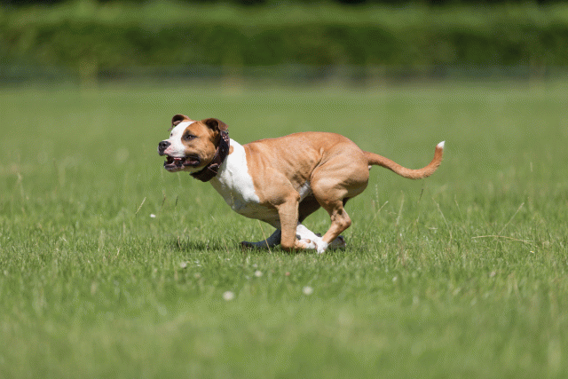 Cs3Q5335 20307886398 O