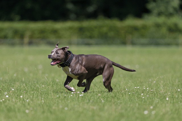 Cs3Q5252 20307912020 O