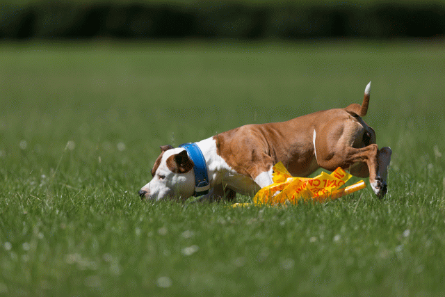 Cs3Q5296 20307914798 O