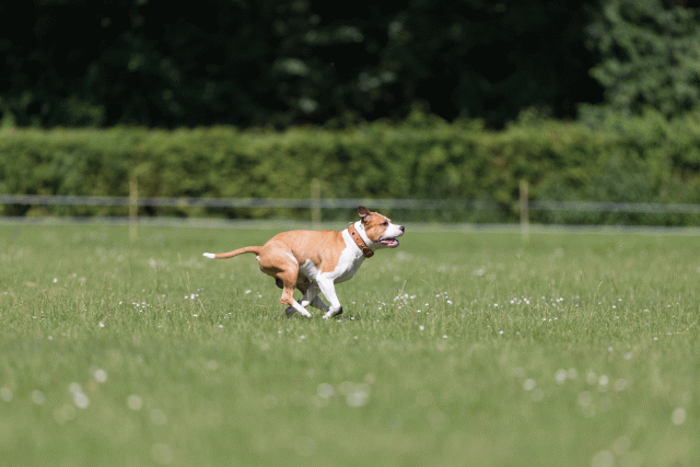 Cs3Q5244 20307918340 O