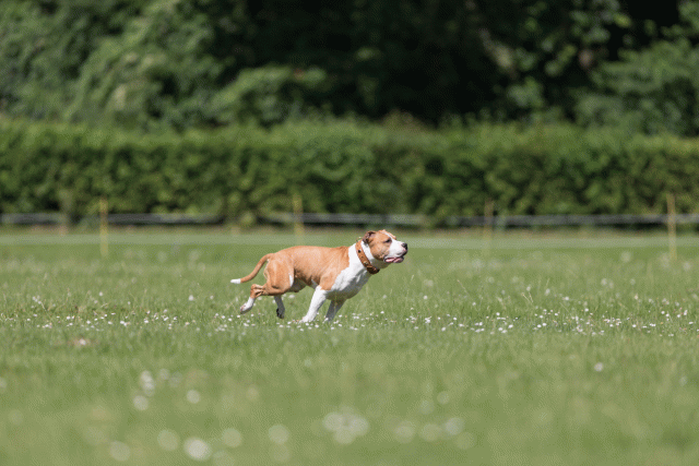 Cs3Q5243 20307919480 O